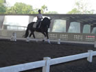 Working with Christoph on uphill canter work.