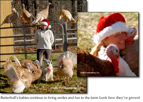 Butterball’s babies continue to bring smiles and fun to the farm Look how they’ve grown!